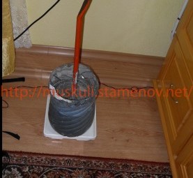 dve-277x300