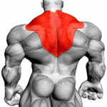 traps-150x150