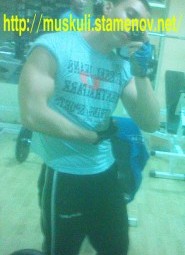 11-185x300