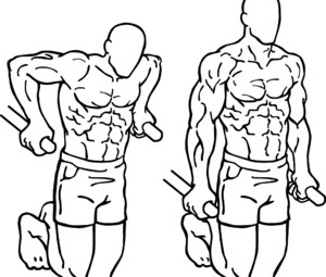dips