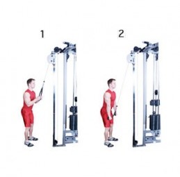 cable_triceps_pushdown1-259x300