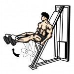 leg_extensions-150x150