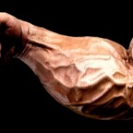 forearm-150x150