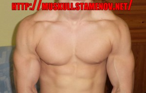 Chest & Triceps