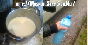 Овче мляко